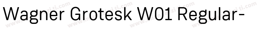 Wagner Grotesk W01 Regular字体转换